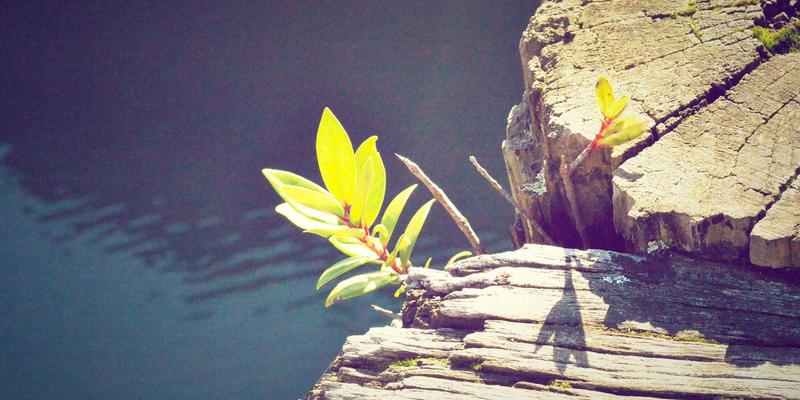 从单机到系统集成：揭秘河南吉高提供整体生产线解决方案的成功之道