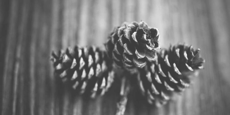 半导体与面板制造的关键支撑：河南吉高在超洁净与防微振设备配件领域的技术突破