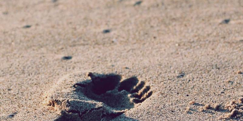 河南吉高：解码“东数西算”下数据中心冷却设备与精密配件的技术变革与选型指南