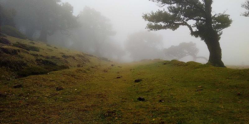 破局与突围：河南吉高机械设备核心部件国产化进程的机遇、挑战与战略布局